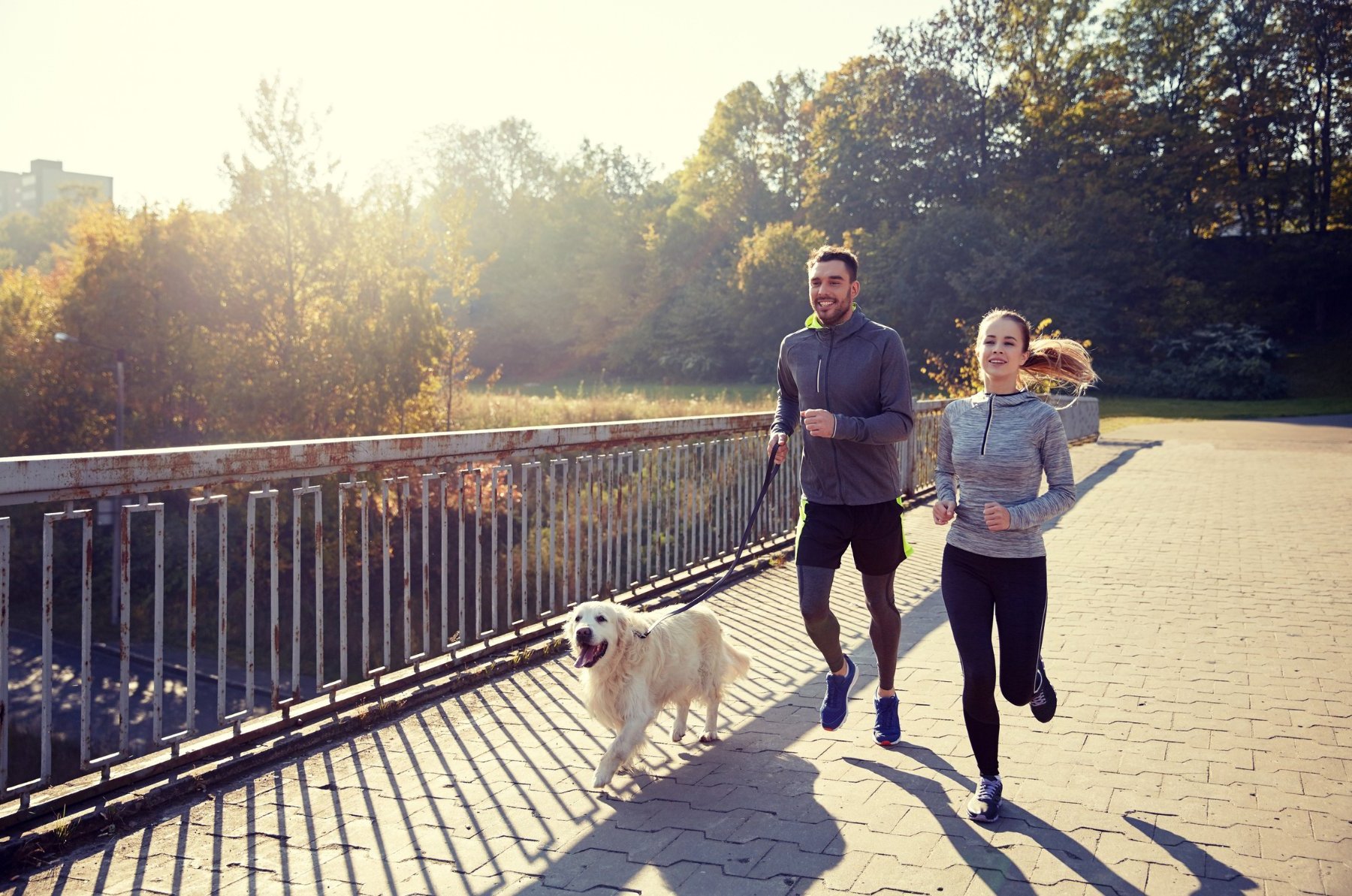 Couple running outdoors with their dog